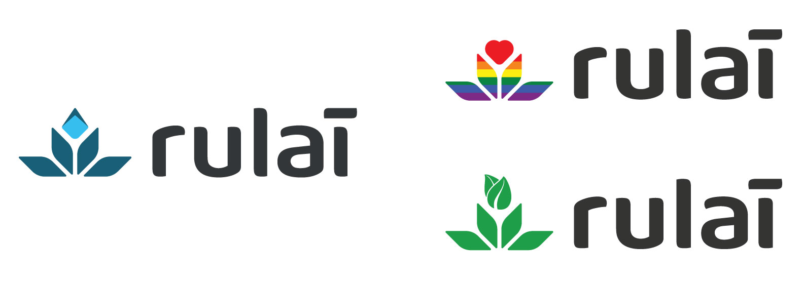 Final selected logo with additional concepts for modofications to the logomark for special cases: LGBTQIA+ support and environmental causes